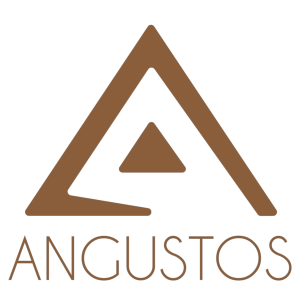About Us KVMextender.id, Authorized Distributor of Angustos